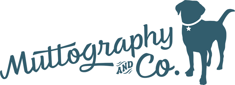 (TEST) Muttography and Co.